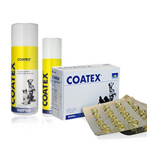 포베츠 - 코텍스(캡슐형 펌프형) 피부영양제, 1개, <옵션1> 코텍스 - 60캡슐