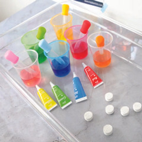 따블리에 엄마표 오감 색소 놀이 (트레이+스포이드+컵+코인티슈+브레드가든 색소)