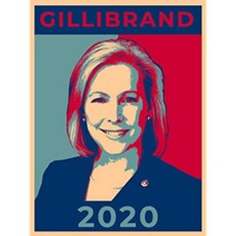 미국 대통령 대통령 선거 선거 투표 투표 2020 Kirsten Gillibraland 민주당 파티 백악관 후보 18x24 - 비닐 인쇄 포스터 (Gill (Gillibrand), Gillibrand, Gillibrand
