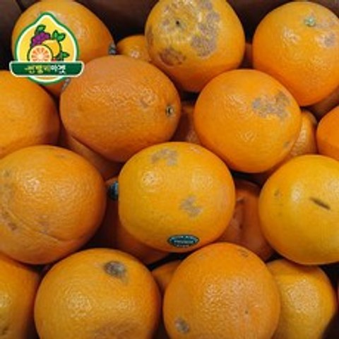 썬밸리마켓 못난이 오렌지 레몬 자몽 대용량 15kg, 1box, 못난이 오렌지 15kg