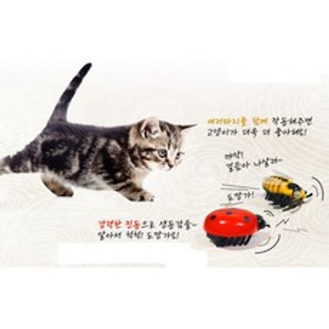 자동 쥐잡기 고양이 움직이는 벌레 장난감 2개 행동유발 놀이기구 사냥본능 코숏 혼자노는 놀이 샴 쥐인형