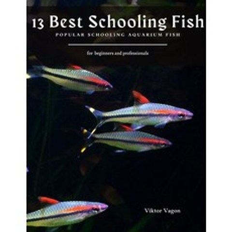 13 Best Schooling Fish: Popular Schooling Aquarium Fish Paperback, Independently Published, English, 9798719829135