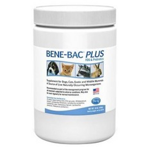 비니백 플러스 펫 파우더 강아지 고양이 유산균 장영양제 454g / BeneBac Plus Pet Powder 1 lb, 454g (1lb)