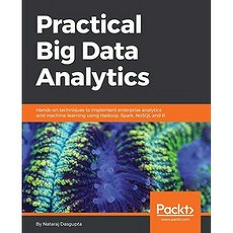 실용적인 빅 데이터 분석 : Hadoop Spark NoSQL 및 R을 사용하여 엔터프라이즈 분석 및 기계 학습을 구, 단일옵션