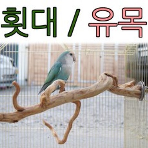 아디펫샵 커피나무 횟대 앵무새 애완조 다람쥐 슈가 유목 용품, 소(디자인랜덤배송), 1개