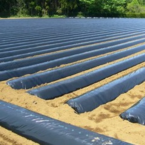 갑조네 멀칭비닐(200m) 멀칭필름 밭비닐 텃밭비닐 주말농장, 흑색