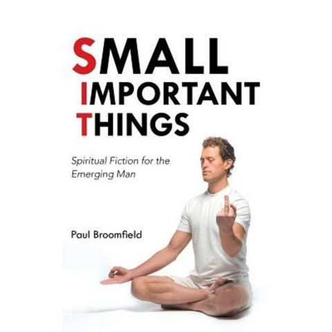 Small Important Things: Spiritual Fiction for the Emerging Man Paperback, Balboa Press