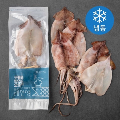 포항시 인증 구룡포 반건 오징어 4~5미 국산 (냉동), 500g, 1개