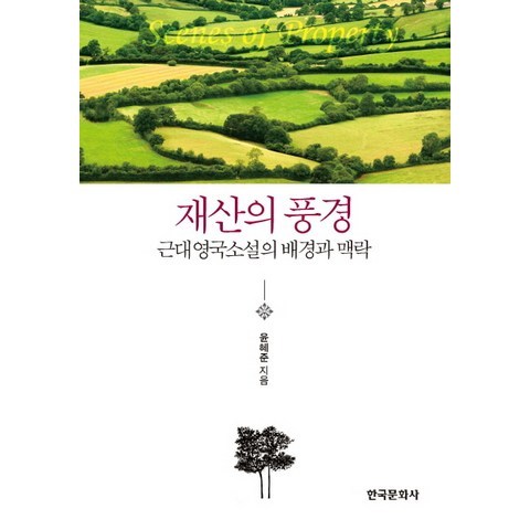 재산의 풍경:근대영국소설의 배경과 맥락, 한국문화사