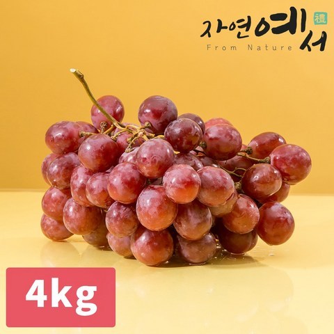 [자연예서] 거봉 레드글로브 4kg 씨없는 적포도