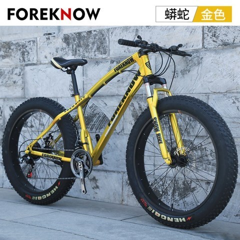 팻 바이크 다운힐 로드 바이크 펫 자전거 오프로드 산악자전거, 24인치 + 금색(휠체어) + 27속
