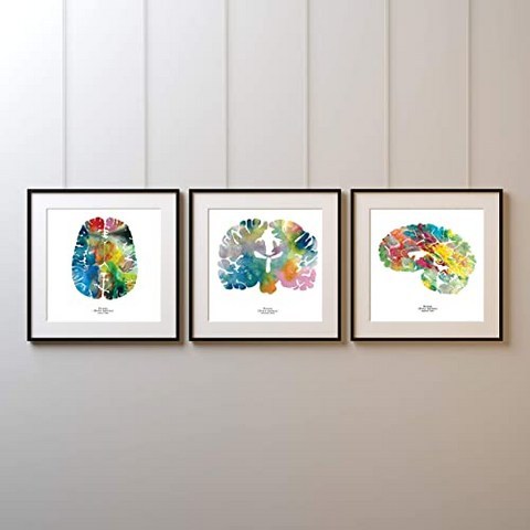 인간의 뇌 벽 예술 - 3 개의 12 x 12 뇌 아트 프린트 - 다채로운 신경 과학 신경학 및 심리학 작품 - 졸업식 및 학교 선물 아이디어로 돌아 가기 (12