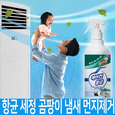 EGS 에어컨 필터 탈취 항균 세정제 500ml 곰팡이 냄새 먼지제거 클리너 청소, 본품1개