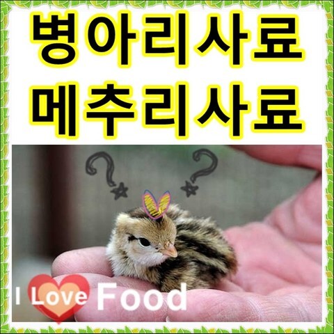 병아리사료 1kg 병아리밥 초이 오리 메추리 조류 소량판매, 14번 병아리사료통