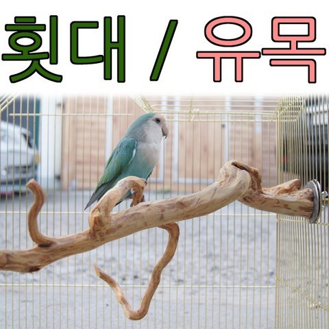 아디펫샵 커피나무 횟대 앵무새 애완조 다람쥐 슈가 유목 용품, 소(디자인랜덤배송), 1개