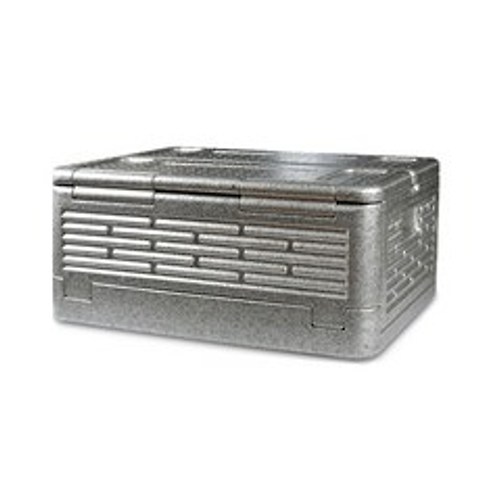 디디존 초경량 휴대용 접이식 아이스박스 810g DD-ICE BOX, 은색, 38L