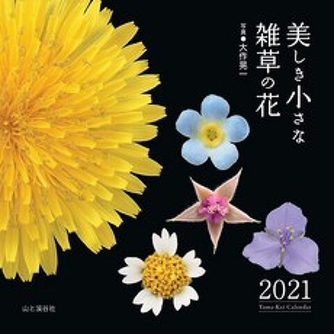 일본배송 달력 2021 아름다운 작은 잡초의 꽃(월 젖힘·벽걸이)(산 케이 달력 2021)대작코이치 책 통판 Am, 단일옵션