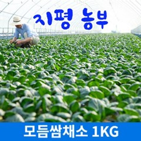 [물맑은 양평] 지평 농부 모듬쌈채소(1kg)