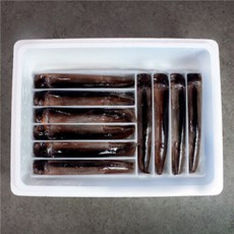 [대한민국농수산] 동해안 싱싱한 초코색 선동 오징어10마리내외, 1박스, 선동오징어