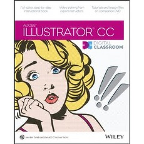 Illustrator CC 디지털 강의실, 단일옵션