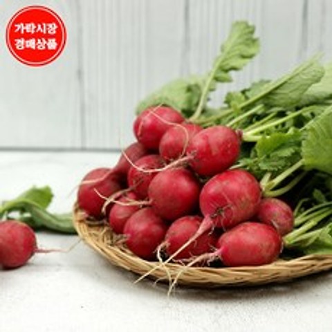 [맛다름] 국내산 레디쉬 2kg내외, 상세 설명 참조
