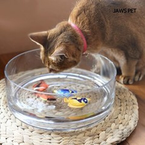 죠스펫 고양이물그릇 투명 대형 유리수반 대형유리그릇 외 고양이용품 장난감, 투명유리수반 [ 대형 ], 1개