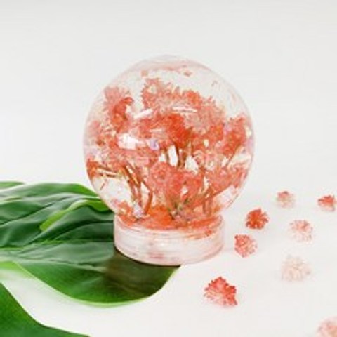 몽파 벚꽃엔딩 워터볼, 5인세트