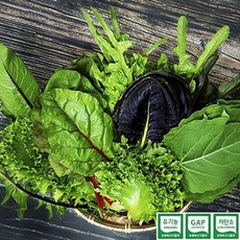당일수확 친환경 GAP 유기농 모듬 샐러드 채소 600g 1kg, 유기농 샐러드 채소 600g