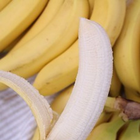 경남 산청 유기농 바나나 1.5kg 2.5kg 국산 바나나 친환경재배 산지직송, 산청 유기농 국산바나나 1.5kg