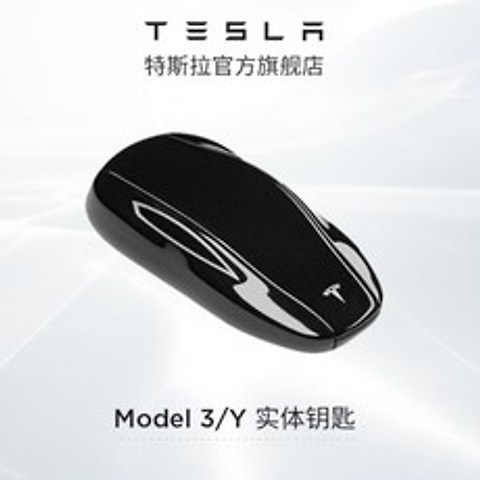 테슬라 모델3 Y 키팝 Tesla Model3 keyfob
