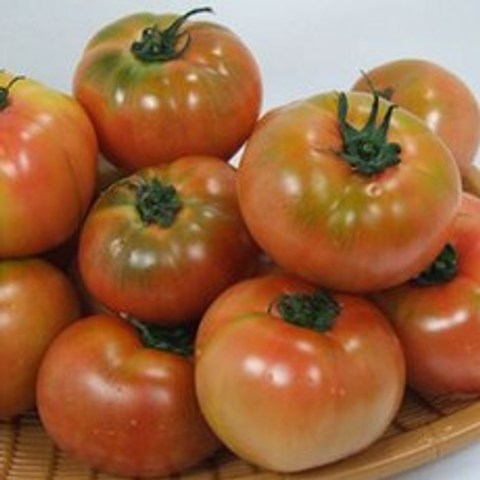 행복한 농부 정품 찰토마토 5kg 토마토 드시고 건강하세요, 찰토마토(5번/소)