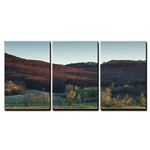 wall26 - 3 Piece Canvas Wall Art - Early Spring Beautiful Land (24