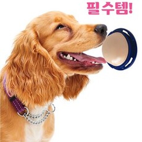 오래먹는 간식 강아지 벽 사탕 캔디 M 벽사탕 도그츕스 영양사탕, 1개