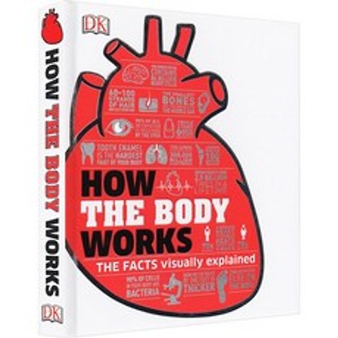 영어원서 DK How the Body Works 인체 백과 전서