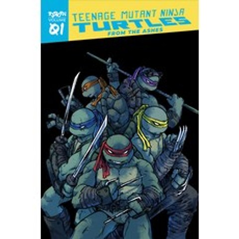 Teenage Mutant Ninja Turtles: Reborn Vol. 1 - From the Ashes Paperback, IDW Publishing