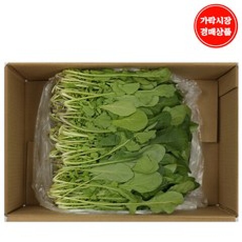 [가락시장 경매 식자재 채소] 로케트(루꼴라) 1kg내외/box