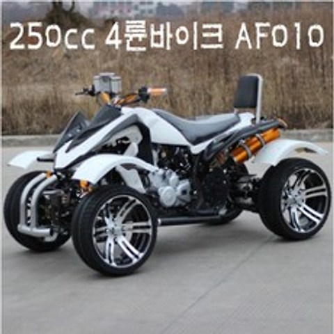 R-BON 4륜바이크 250cc AF011
