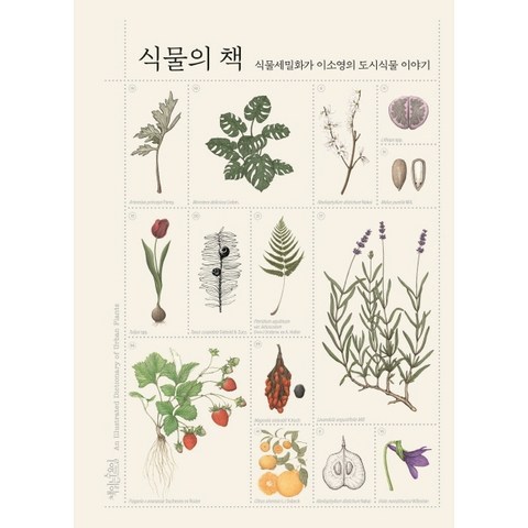 식물의 책:식물세밀화가 이소영의 도시식물 이야기, 책읽는수요일