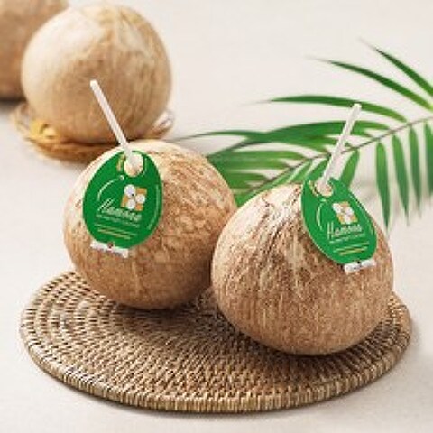 맛젤 바로먹는 코코넛, 1.4kg(3입), 1팩