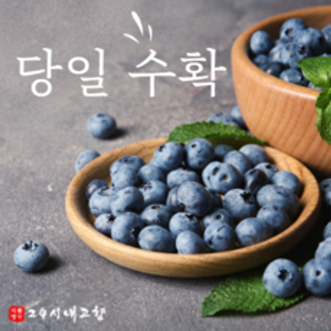 국산 생 블루베리 1kg 생과 특품