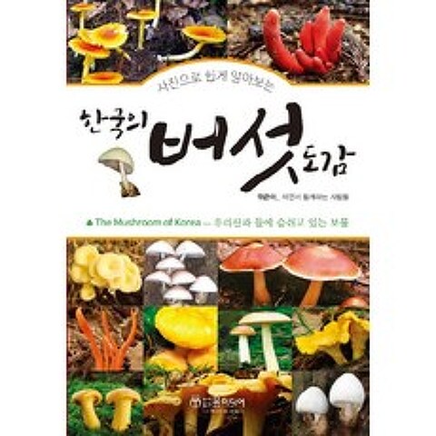 사진으로 쉽게 알아보는 한국의 버섯 도감:우리산과 들에 숨쉬고 있는 보물, 윤미디어