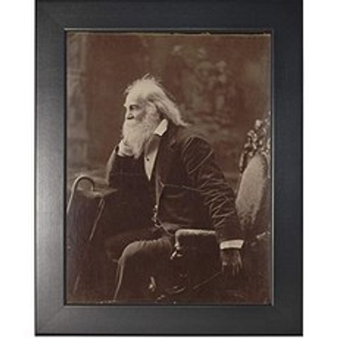 부드러운 블랙 프레임의 Walt Whitman 사진 - 1881 년의 역사 삽화 - (8 x 10) - 광택 (8