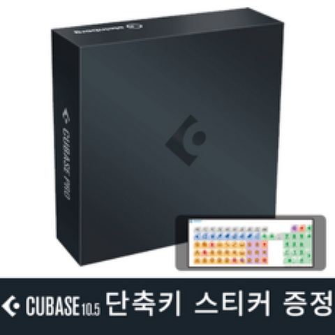 Cubase Pro 11 큐베이스 프로 11 일반용