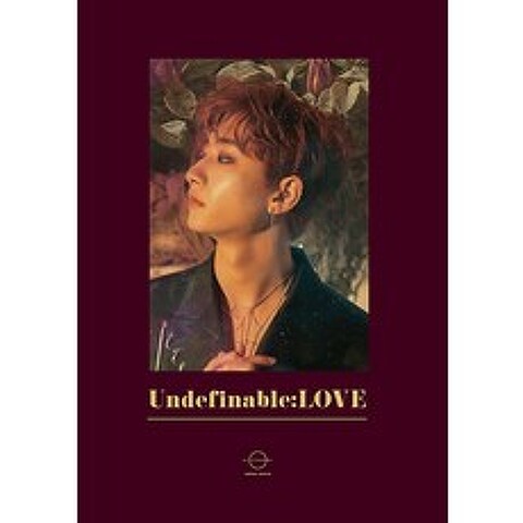 홍은기 - UNDEFINABLE:LOVE [1st mini Album]