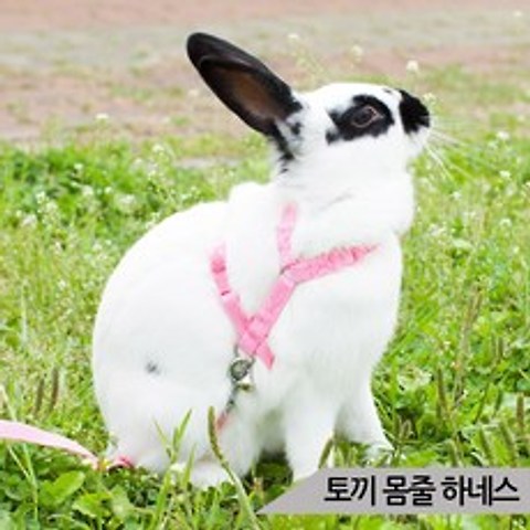 토끼 몸줄 AMZ-T19(핑크) 가슴줄 하네스 리드줄포함