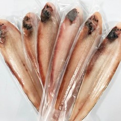 반건조 박대 서대 생선 구이 왕(40cm내외) 특대 대 10마리 당일발송, 1개, 대 (32-34cm) 6마리