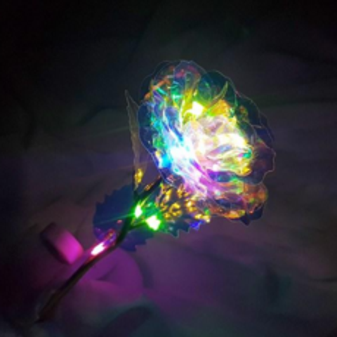 홀로그램장미 꽃 LED 유리돔 무드등 유리 크리스탈, 2. 홀로그램장미 LED타입