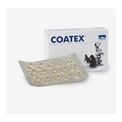 포베츠 코텍스 블리스터(COATEX) 60캡슐