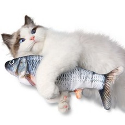 상상홀릭 움직이는 생선 인형 자동 고양이 물고기 장난감, (붕어)