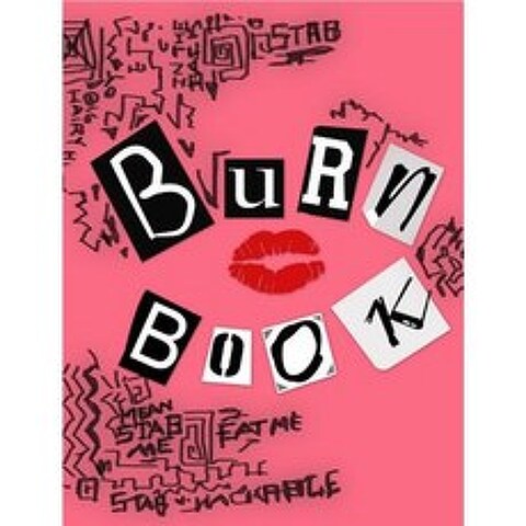 Burn Book Hardcover, Blurb